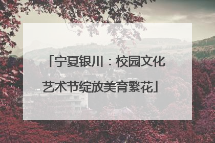 宁夏银川：校园文化艺术节绽放美育繁花